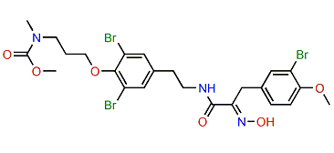 Purpuramine K